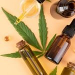 Know About CBD Pet Products