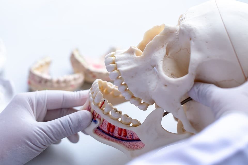 Maxillofacial Implants Surgery