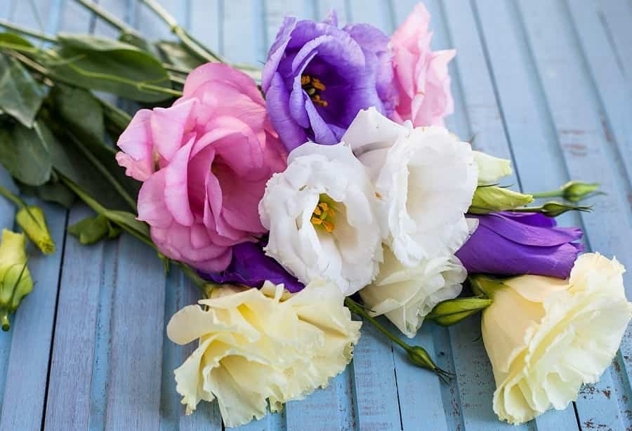 Best Flower Bouquet